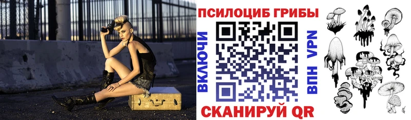 Галлюциногенные грибы GOLDEN TEACHER  Купить  Тбилисская 